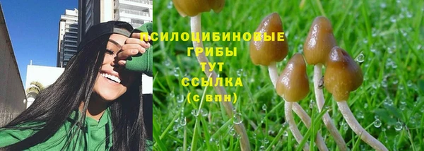 соль ск Володарск