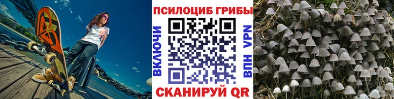 Псилоцибиновые грибы прущие грибы  Глазов 